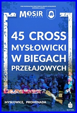 45 Cross Mysłowicki luty 2017