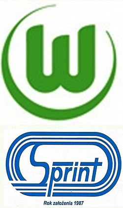 Sukces w Wolfsburgu